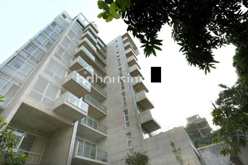 Baridhara 6700 sft Duplex Ready Flat for Sale, Apartment/Flats at Baridhara
