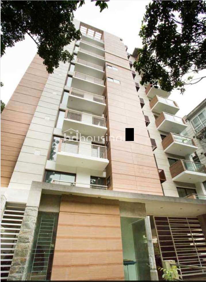 2200 sft New Ready Apartment for Sale at Dhanmondi, Apartment/Flats at Banani