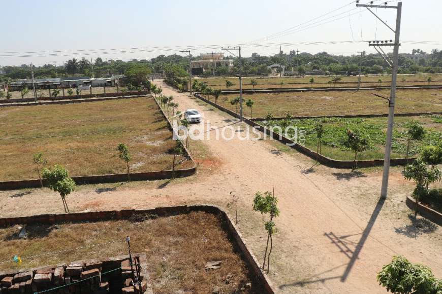Plot besides Muhammadpur Basila Road- Modhu city, Residential Plot at Basila