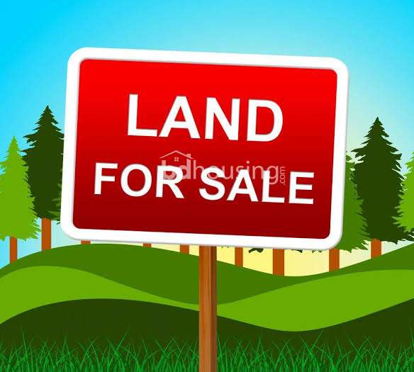 Agriculture land, Agriculture/Farm Land at Pouro Bazar