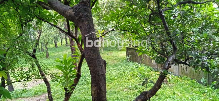 Protik Gazipur Masterbari, Commercial Plot at Gazipur Sadar