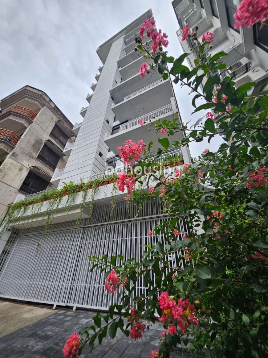 bddl peace park, Apartment/Flats at Dhanmondi
