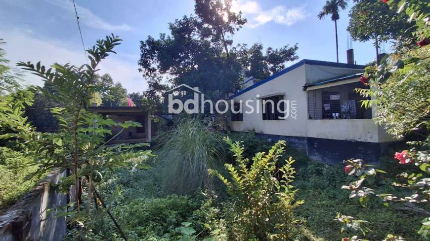 মনোরম পরিবেশে জমি সহ বাড়ি বিক্রয়।, Residential Plot at Tongi