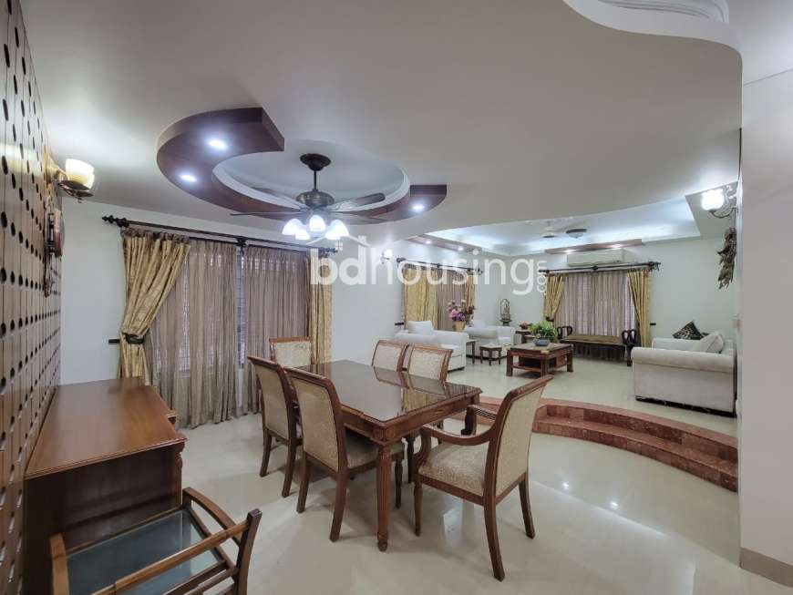 WDL- Thaya, Apartment/Flats at Bashundhara R/A