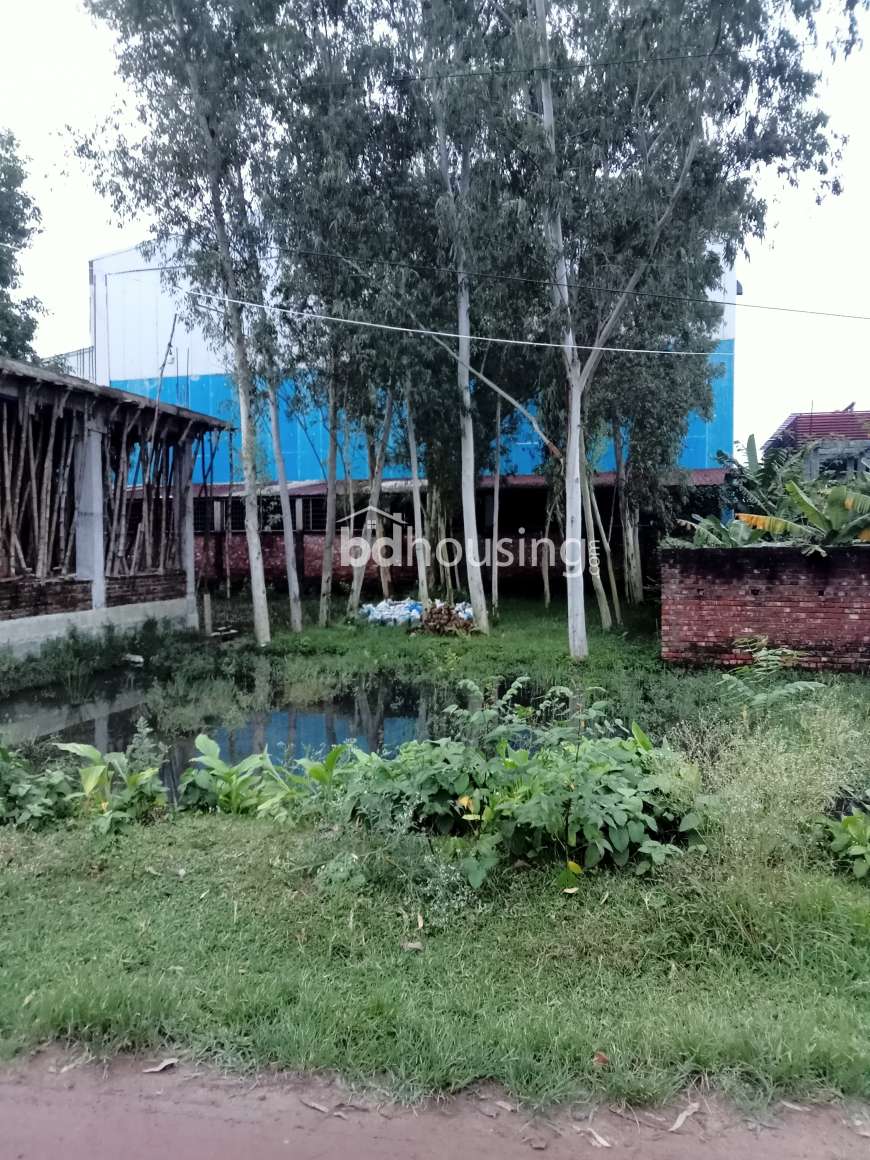 Land for sell , Residential Plot at Puran Bogra