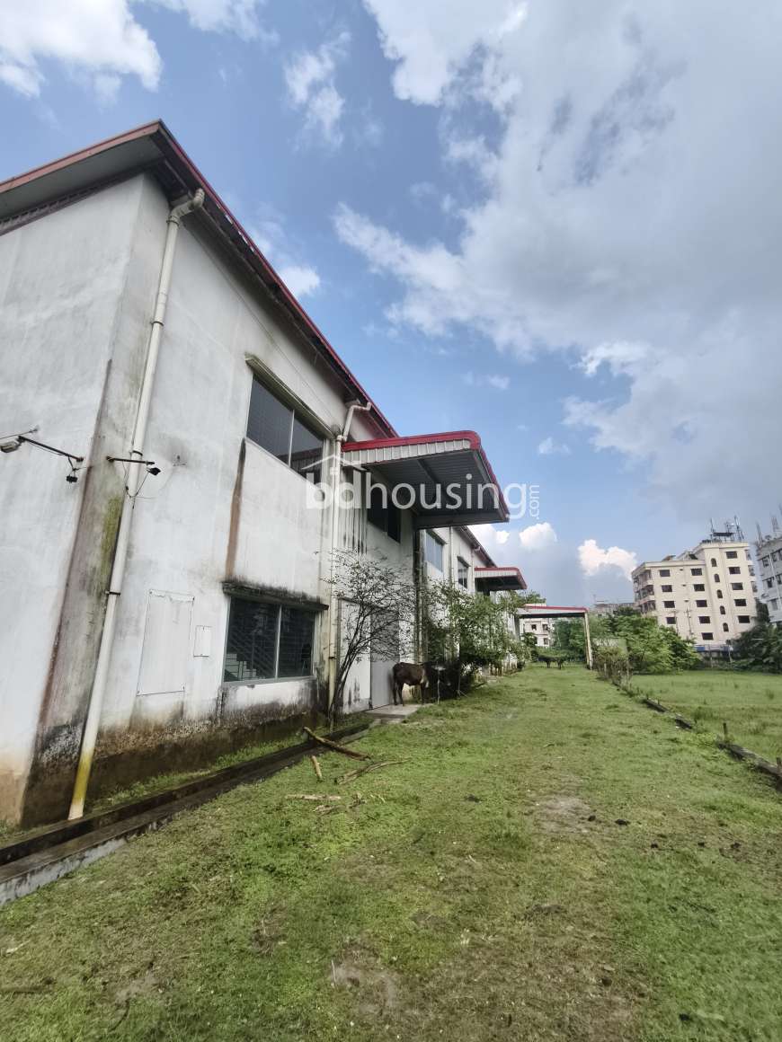 Viqarunnisa , Agriculture/Farm Land at Savar