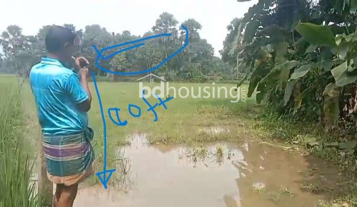Gazipur land for sale, Agriculture/Farm Land at Kaliakoir