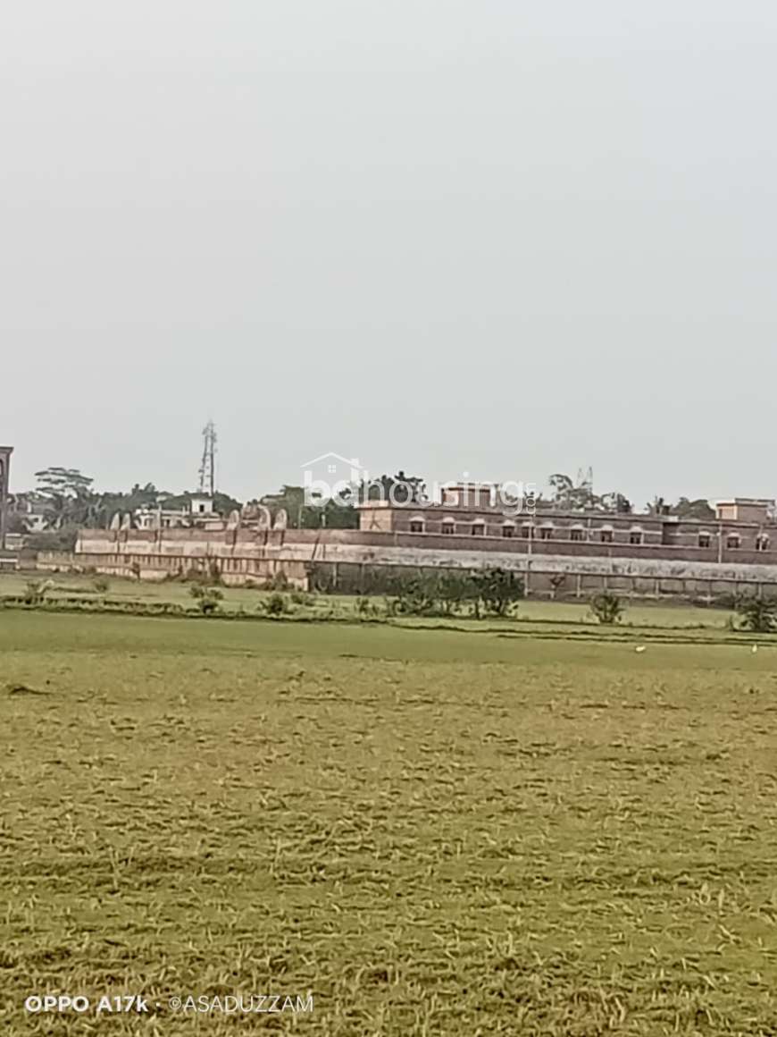 Gobordia , Agriculture/Farm Land at Khan Jahan Ali