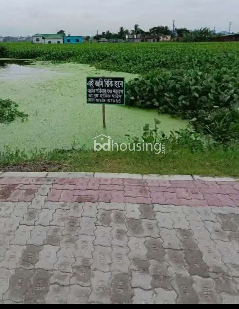 Shantinagar , Residential Plot at Narayangonj Sadar