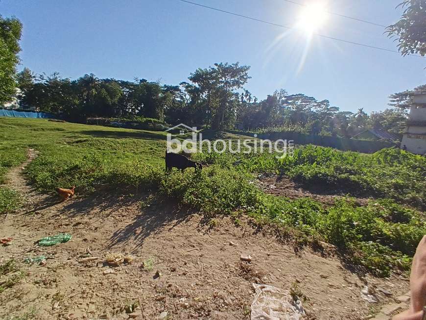 Land owner Faijun Nesa Shimi,
Ferrid(Simi Fashion House), Agriculture/Farm Land at Laksam