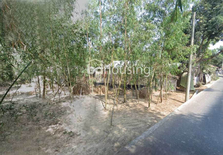 জরুরি ভিত্তিতে ১২ শতক প্লট বিক্রয়!, Agriculture/Farm Land at Sreemangal