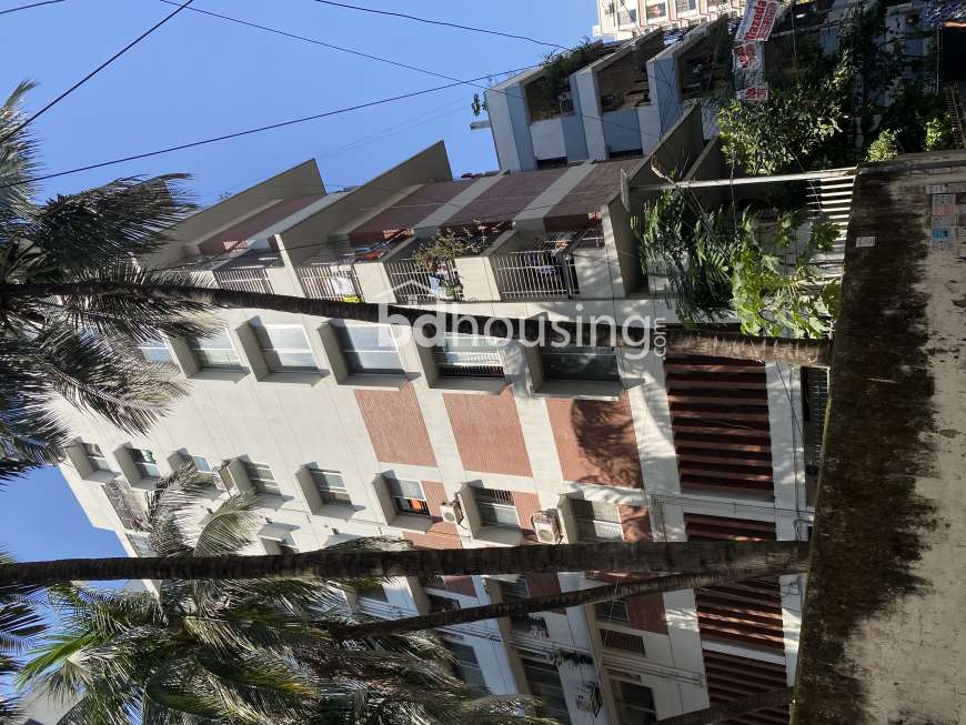 Rain Forest (Assurance Developer), Apartment/Flats at Dhanmondi