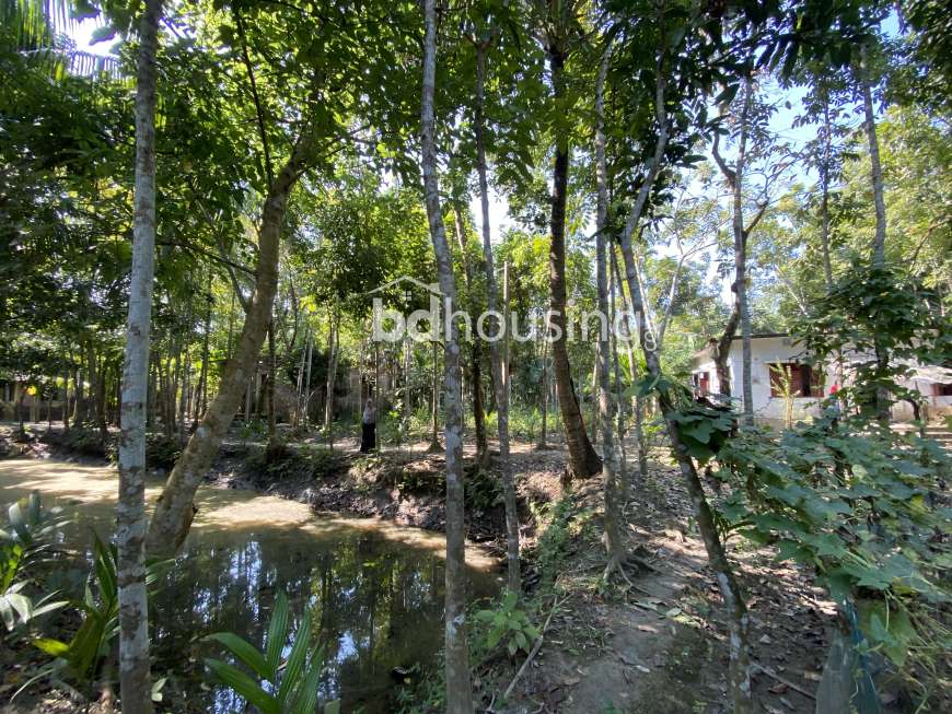 No names , Residential Plot at Barisal Sadar