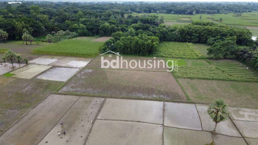 খুলনা-সাতক্ষীরা মহাসড়ক সংলগ্ন ১০ বিঘার অধিক প্রাইম কমার্শিয়াল জমি বিক্রয়, Commercial Plot at Gollamari