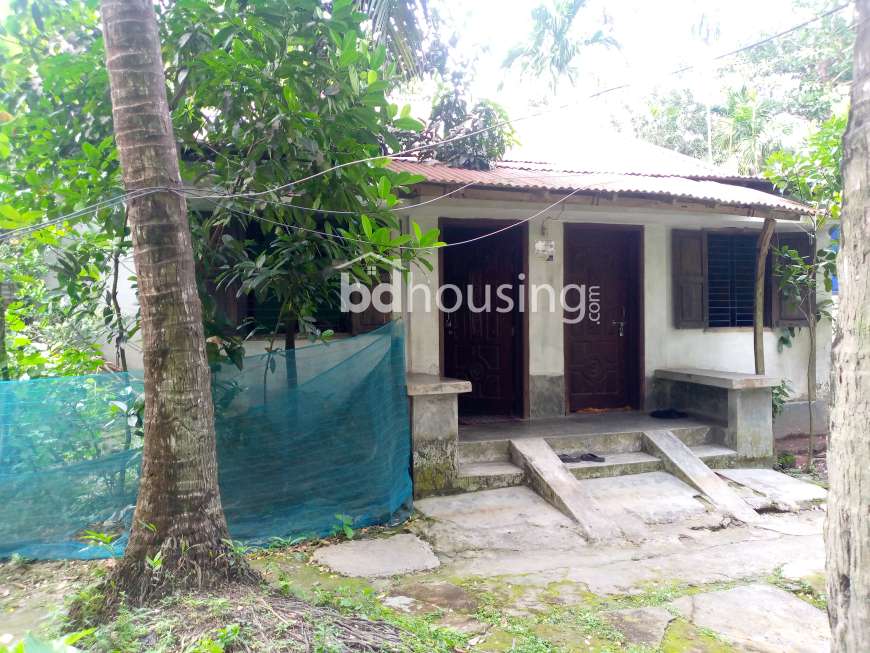৪ শতাংশ ১০ পয়েন্ট জমি ঘরসহ বিক্রি।Residential plot for sale in bhola sadar, Residential Plot at Barisal Sadar