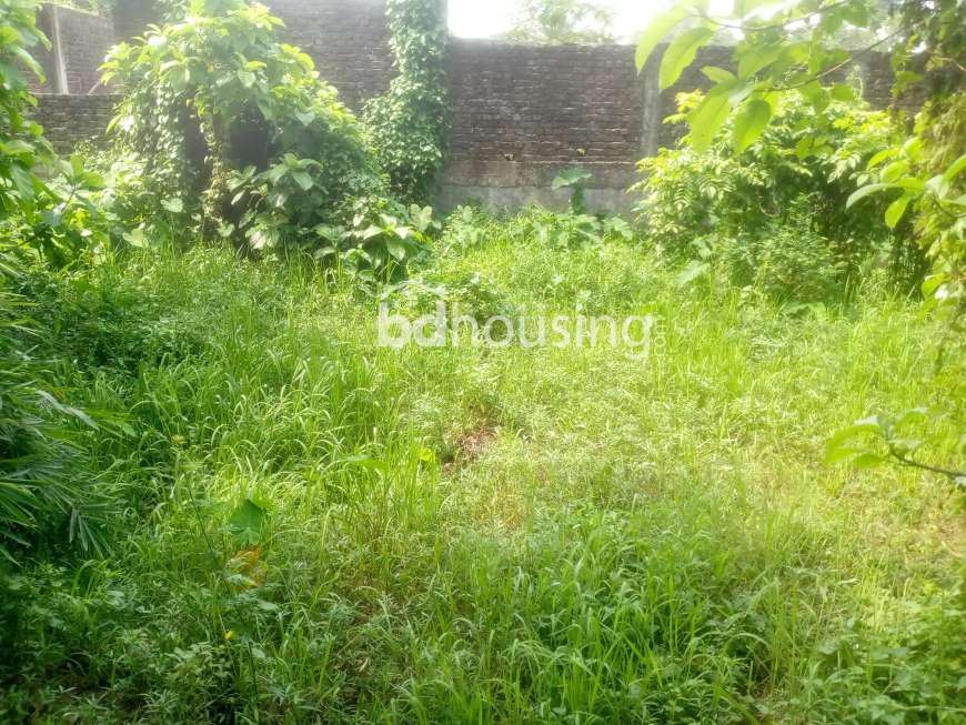 Prawdip Chowdhury , Agriculture/Farm Land at Boalkhali