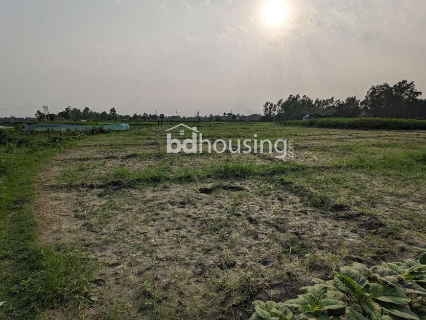Sirajdikhan, Munshiganj; 322 decimals of ancestral land for sale in 5 deeds!, Residential Plot at Sirajdikhan
