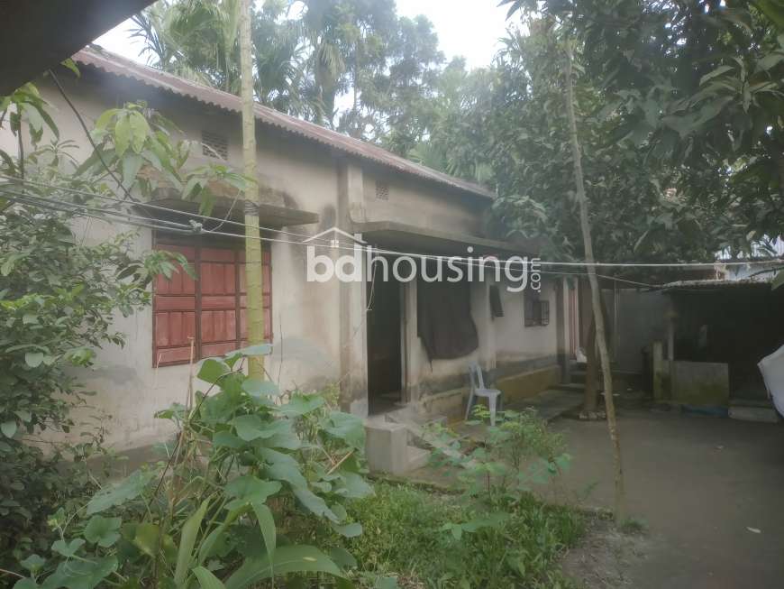 3-Bedroom House in Rangpur for Sale, Independent House at Dhap