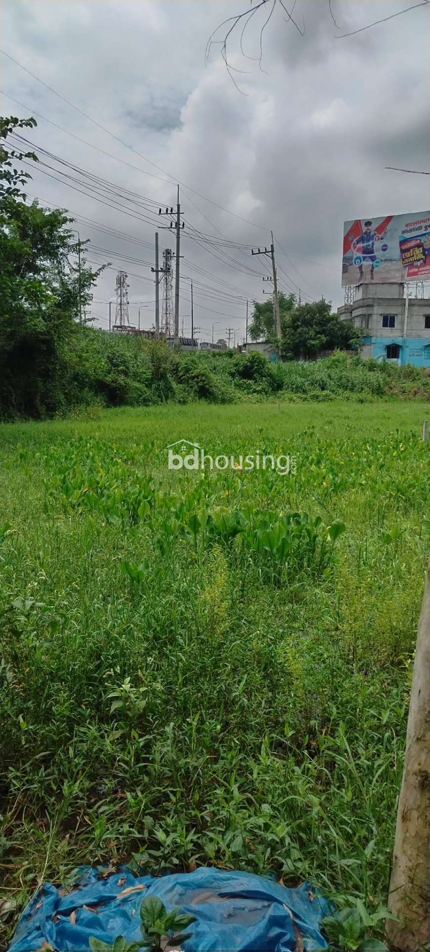 Self, Residential Plot at Karatia