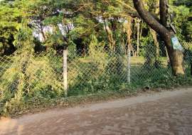 50 Bigha, Ready  Agriculture/Farm Land for Sale at Gazipur Sadar Agriculture/Farm Land at 