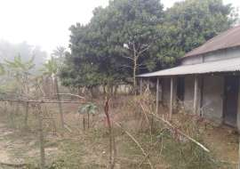 21 katha, Ready  Agriculture/Farm Land for Sale at Kaliakoir Agriculture/Farm Land at 
