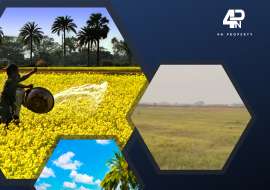 78 katha, Ready  Agriculture/Farm Land for Sale at Narayangonj Sadar Agriculture/Farm Land at 