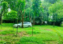 Protik Gazipur Masterbari Commercial Plot at Gazipur Sadar, Gazipur