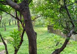 গাজীপুরে ১২ বিঘা, প্লট/জমি বিক্রয় হবে,স্থানঃ মির্জাপুর, মাষ্টার বাড়ী রোড. Commercial Plot at 