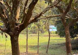 3 & 5 katha Residential Plot for Sale at Purbachal Residential Plot at 