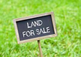 5 katha, Ready  Residential Plot for Sale at Hemayetpur Residential Plot at 