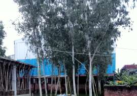 4 katha, Upcoming   Residential Plot for Sale at Puran Bogra Residential Plot at 