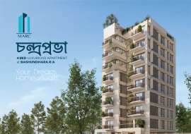 2350 sqft, 4 Beds Under Construction Apartment/Flats for Sale at Bashundhara R/A Apartment/Flats at 