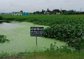 22 katha, Ready  Residential Plot for Sale Borpa Rupganj  Narayangonj  Residential Plot at 