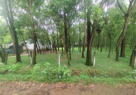 5 katha, Ready  Agriculture/Farm Land for Sale at Gazipur Sadar Residential Plot at 