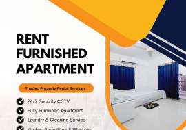 700 sqft, 1  Bed  Apartment/Flats for Rent at Bashundhara R/A Apartment/Flats at 