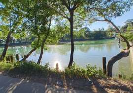 18 katha, Upcoming   Agriculture/Farm Land for Sale at Laksam Agriculture/Farm Land at 