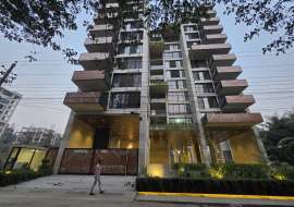 2441 sqft, 3 Beds Ready Apartment/Flats for Sale at Bashundhara R/A Apartment/Flats at 