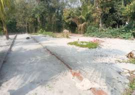 5 katha, Ready  Residential Plot for Sale at Matlab South Residential Plot at 