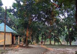 42 katha, Upcoming   Commercial Plot for Sale at Kaliakoir Commercial Plot at 
