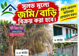 6 katha, Ready  Residential Plot for Sale at Lobon Chora Residential Plot at 