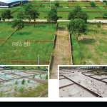 Foors Images