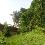 Foors Images