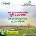 Infield আমার শহর