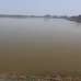 100 Bigha Farm Land and 24.5 Bugha Pond For Sell in Rajshahi Godagari, Agriculture/Farm Land images 