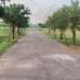 সহিদ নগর, রেসিডেন্সিয়াল প্লট, Residential Plot images 