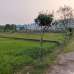সহিদ নগর, রেসিডেন্সিয়াল প্লট , Residential Plot images 