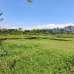  ঈদ মোবারক,  সহিদ নগর আবাসিক প্রকল্প । , Residential Plot images 