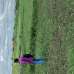 Own, Agriculture/Farm Land images 