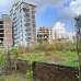 5 Katha,Block -M, Plot Sale Bashundhara R/A, Residential Plot images 