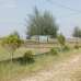 Purbachal Probashi Palli, Residential Plot images 